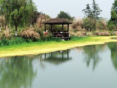 -桤木河湿地公园