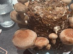 -捞王猪肚鸡火锅(金华义乌之心店)