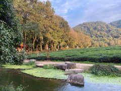 -中国茶叶博物馆(双峰馆区)