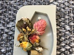 -北马山庄植趣咖啡