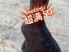 -重庆云阳龙缸景区