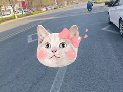 -冲浪熊西餐厅(昌黎店)