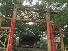 -酒仙湖景区
