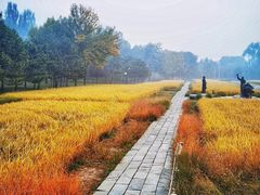 -北坞公园