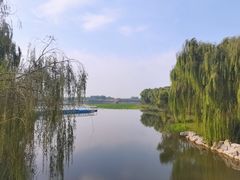 -大兴滨河森林公园