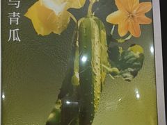 -雾与山茶(大禹城店)