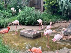 -昆明动物园