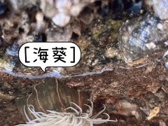 -南汇新城海滩