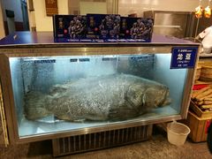 -御唐府海珊瑚主题餐厅
