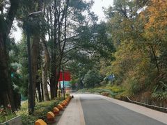 -阿哈湖国家湿地公园