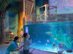 -沈阳海洋探索中心