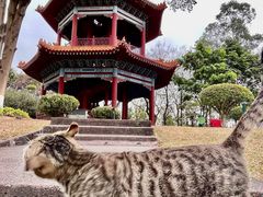 -广州莲花山旅游区