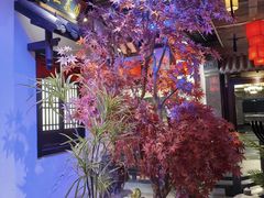 -香园楼(钻石路店)