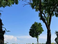 -汉长安城未央宫国家考古遗址公园