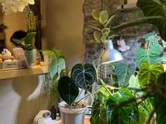 -About Bistro關於·泰式家庭料理