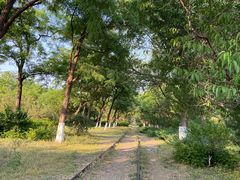 -永定河休闲森林公园