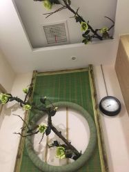 -芳朵美容养生SPA