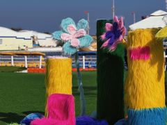 -秦皇岛乐岛海洋王国