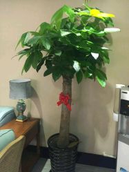 点击看大图 -唯伊美塑身美养连锁