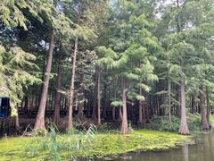 -尚湖风景区