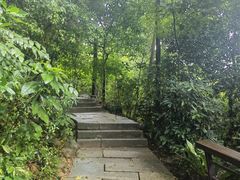 -深圳仙湖植物园