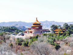 -磬锤峰森林公园
