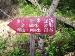 -苏木山森林公园