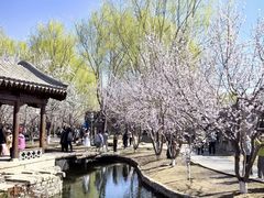 -三里河公园