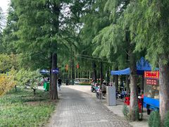 -渌洋湖湿地公园