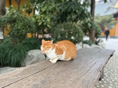 -龙华寺