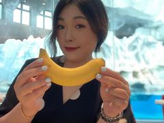 -帝企鹅自助餐厅•儿童岛•真企鹅(长隆企鹅酒店)