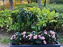 -上海滴水湖皇冠假日酒店