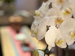 -苏帮袁·竹(北京坊店)