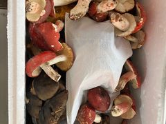 -云南木水花野生菌交易中心