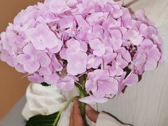 -回龙观体育文化公园