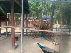 -南戴河国际娱乐中心