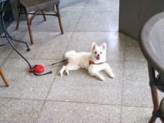 -星巴克臻选(苏州苏信店)