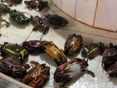 -海盗餐厅