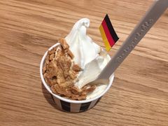 -JW德国冻酸奶Frozen Yogurt(龙湖成都滨江天街店)