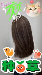 -FINE HAIR 烫染专业设计