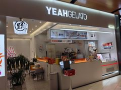 -野人先生现做冰淇淋(北京环宇荟店)