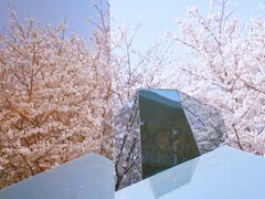 -龙美术馆(西岸馆)