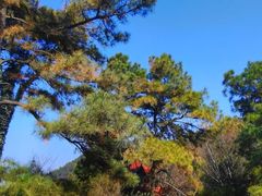 -敬亭山风景名胜区