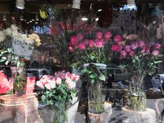 -宝鸡东道花鸟鱼虫市场(吉利花园商场店)