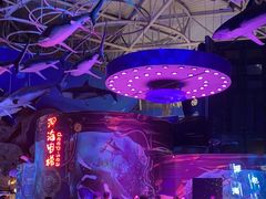 -烟台海昌鲸鲨海洋公园