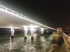 -演武大桥观景平台