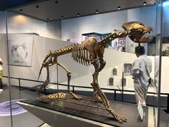 -北京周口店北京人遗址博物馆