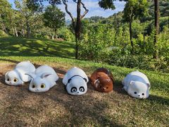 -云溪植物园