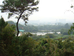 -秦岭天竺山景区