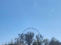 -琴岛之星摩天轮